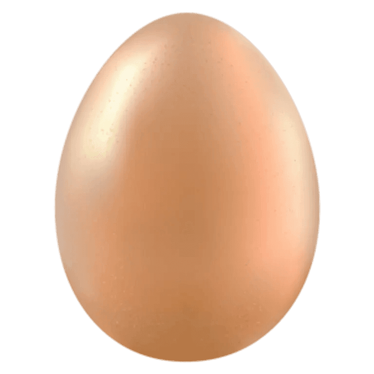 An egg